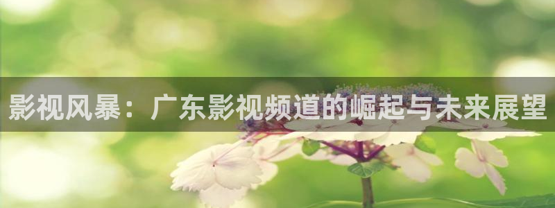 红桃影视午夜：影视风暴：广东影视频道的崛起与未来展望