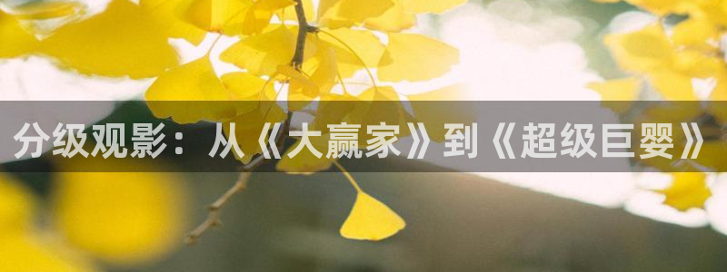 yy4138殇情影院网站红桃：分级观影：从《大赢家》到《超级巨婴》