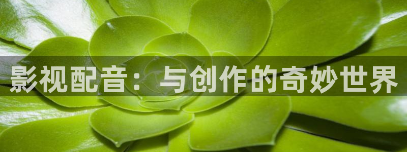 红桃电影在线免费观看：影视配音：与创作的奇妙世界