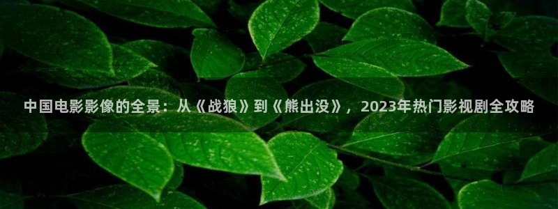 红桃影院电视剧免费播放最新：中国电影影像的全景：从《战狼》到《熊出没》，2023年热门影视剧全攻略