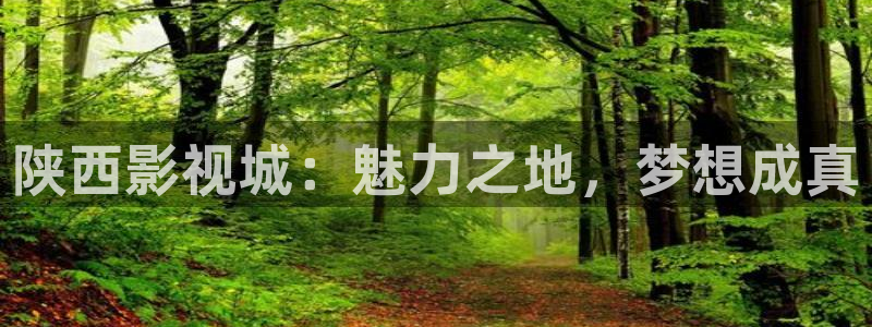 红桃影院免费观看电视剧在线观看：陕西影视城：魅力之地，梦想成真