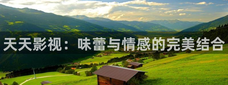 红桃影视大全：天天影视：味蕾与情感的完美结合